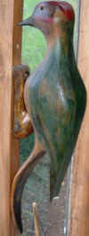 woodpecker stained Beech 16" £65